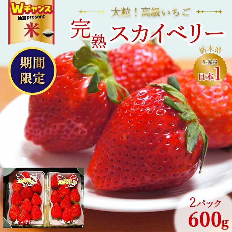 【ふるさと納税】＼9末まで 寄附額改定／高級いちご 完熟スカイベリー2パック 600g ｜ 栃木 スカイベリー 甘い 糖度 旬 新鮮 フルーツ 果物 アレンジ スイーツ 贈答用 ※2025年12月下旬～2026年3月下旬頃に順次発送予定 ※沖縄・離島への配送不可