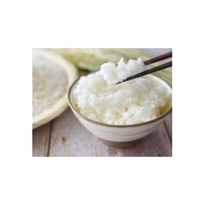 ふるさと納税 安田町 新米予約　5kg【令和7年産】高知県安田町産