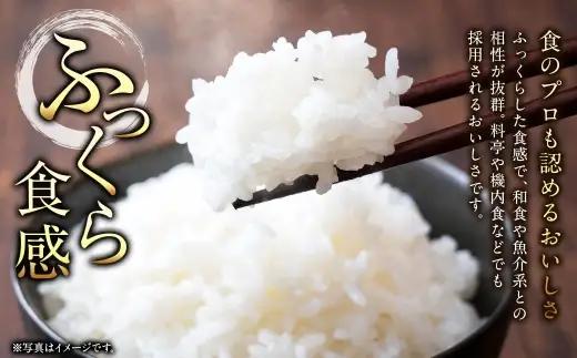 〈 令和8年産 〉浦臼産 ふっくりんこ 精白米 5kg お米 米 こめ コメ 白米 白飯 飯 ご飯 おにぎり ブランド米 ブランド 国産 北海道産 和食 魚料理 【 2026年11月上旬より順次発送 