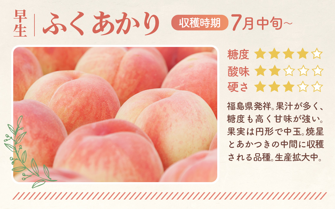もも【ふくあかり・2026年産先行受付】特秀1.5kg　桑折町産　JAふくしま未来　桃 No.166