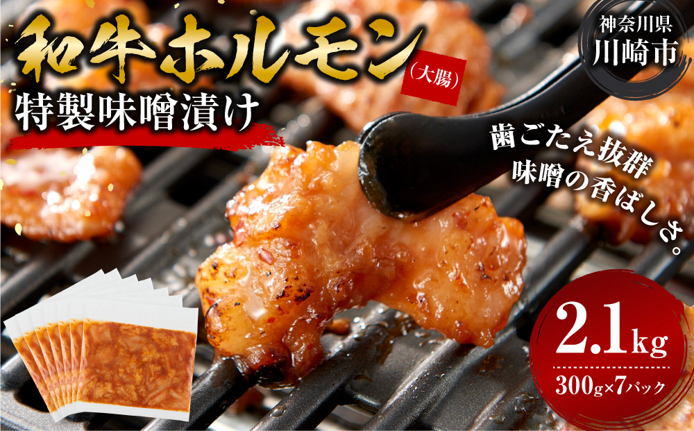 ＜訳アリ＞和牛ホルモン（大腸）　特製味噌漬け　2.1kg(300g×7）【2026年8月発送】