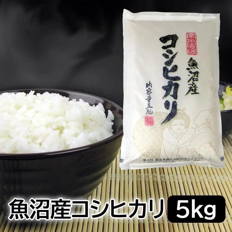 【令和8年産】お米マイスター厳選！魚沼産コシヒカリ ５kg  2026年9月下旬頃より発送開始 