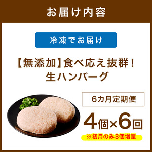 【無添加】食べ応え抜群！ 生ハンバーグ 200g 4個 6ヶ月定期便【087B-001】