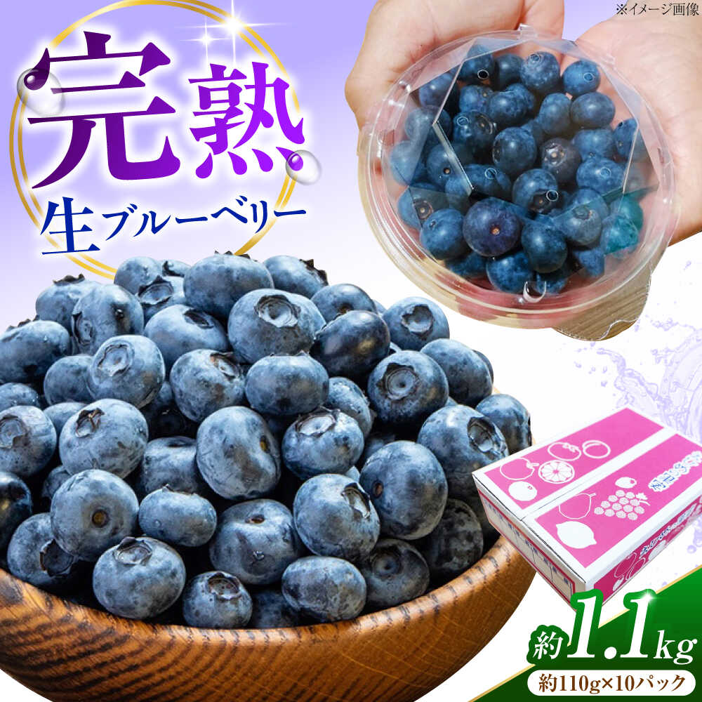 【ふるさと納税】ブルーベリー 生ブルーベリー110g×10パック【7月上旬から8月下旬まで順次発送】 / 冷蔵 フルーツ 果物 ブルーベリー 生 ジャム スムージー ドリンク 手摘み セット 果実 果肉 人気 おすすめ フルーツギフト / 愛媛県砥部町/西岡さん家のみかん園[BJBG004]