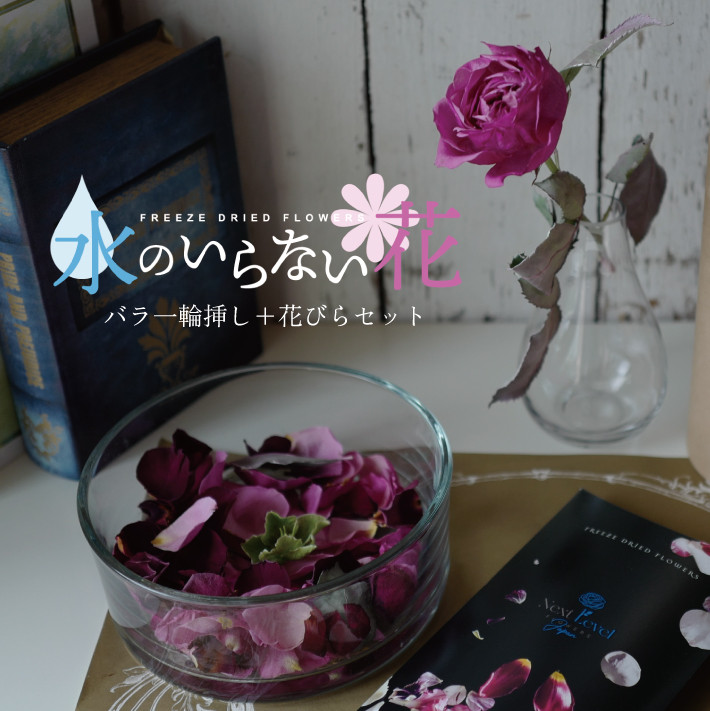 
SL0210　水のいらない花　ゼロフラワー「バラ一輪挿し＆花びらセット」
