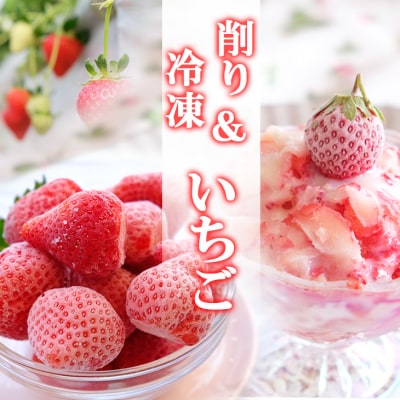 【ふるさと納税】いちご 冷凍いちご 1kg＆削りいちご 400g 練乳付き イチゴ 苺 果物 デザート ベリー畑 福田ファーム ※配送不可：沖縄、離島　小郡市