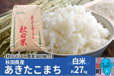 秋田県産 あきたこまち【白米】27kg 令和4年産