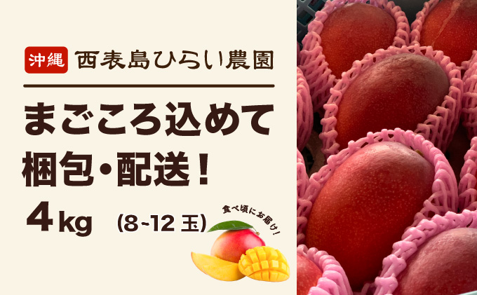 マンゴー 先行予約 沖縄 アップルマンゴー 約4kg 8玉~12玉 西表島 ひらい農園 2026年 発送 果物 フルーツ デザート 完熟 濃厚 027-a027_2026