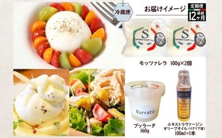 チーズ 定期便 12ヶ月 2種 オリーブオイル セット チーズ