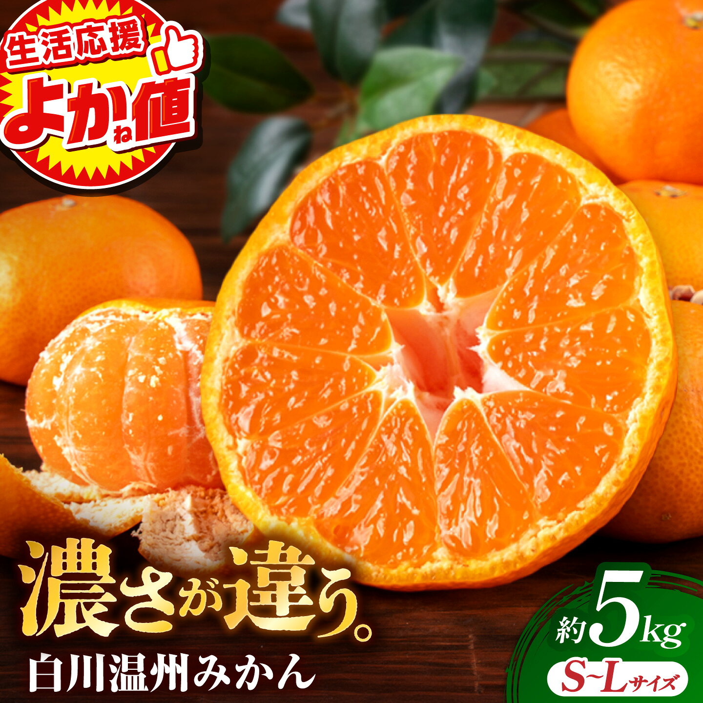 【ふるさと納税】＼生活応援よか値キャンペーン／【先行予約】 旨み凝縮！ 飛龍台木 白川 温州 みかん S〜Lサイズ 約5kg 山鹿市産　【小春農園】[ZBN009]