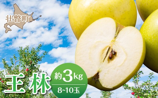 【先行予約】北海道壮瞥町産りんご「王林」約3kg(8～10玉)＜2026年11月中旬よりお届け＞【ふるさと納税 人気 おすすめ ランキング りんご リンゴ 林檎 おうりん 甘い 蜜入り ジュース 酢 送料無料】 SBTF024