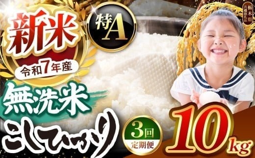 【令和7年度新米先行予約】栃木県産コシヒカリ 無洗米 10kg 定期便3回 【栃木県共通返礼品】| 定期便 お米 米 こめ 洗米 新米 無洗米 コシヒカリ こしひかり 美味しい お弁当 選べる ふるさと 納税 栃木県 矢板市