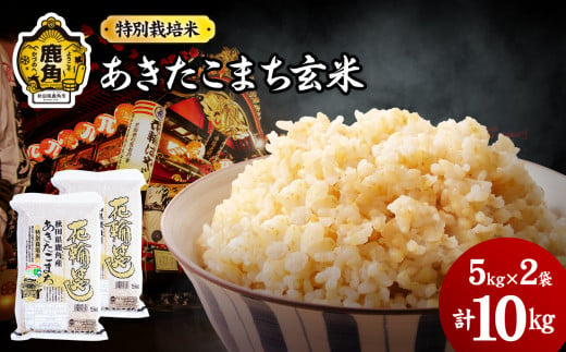 令和6年産 特別栽培米「花輪ばやし（あきたこまち）」玄米 10kg（5kg×2袋）【安保金太郎商店】 米 お米 国産 グルメ お米マイスター ギフト 高品質 厳選 秋田県産 鹿角市産 秋田県 秋田 あきた 鹿角市 鹿角 かづの 産地直送