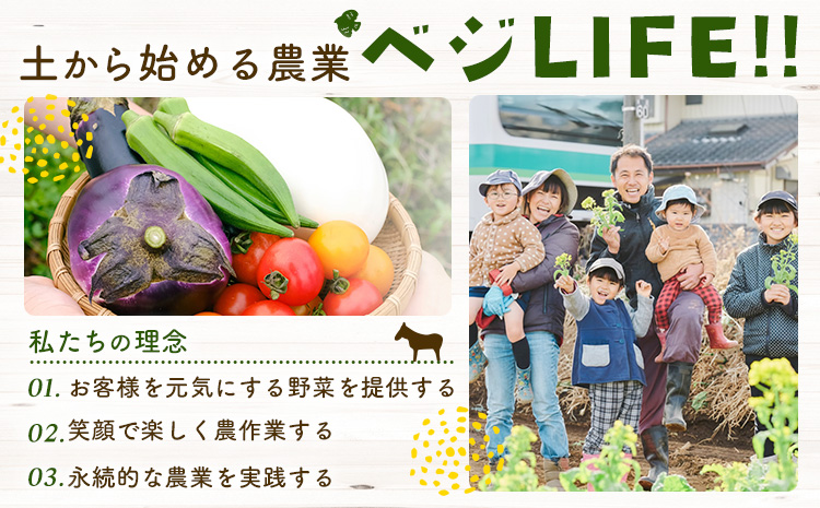 野菜 旬の野菜セット Mサイズ 約8～9種 《30日以内に出荷予定(土日祝除く)》 ベジLIFE!!  季節の野菜  料理 甘い 採れたて トマト 新玉ねぎ じゃがいも キャベツ 白菜 ベジライフ 千