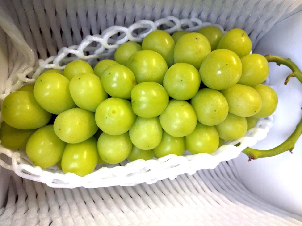 
                  シャインマスカット　１房　７００ｇ以上　0142-2607
                