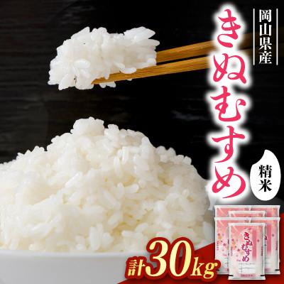 ふるさと納税 岡山市 【食味鑑定士厳選】岡山県産 きぬむすめ30kg(5kg×6袋)