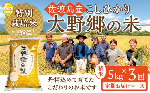 【令和６年産新米】佐渡島産 特別栽培米こしひかり「大野郷の米」精米5kg×３回 定期お届けコース