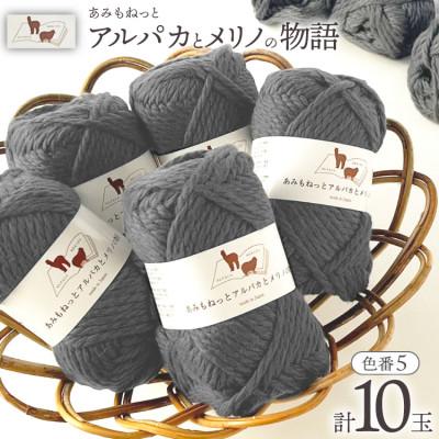 ふるさと納税 江南市 あみもねっと アルパカとメリノの物語 5番色 10玉セット