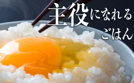 【定期便3ヵ月】北海道産 ななつぼし 白米 20kg（5kg×4袋）