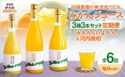 【6ヶ月定期便】田縁農園 3種みかんジュース（みかん いよかん 河内晩柑）セット 全6回  【ふるさと納税 人気 おすすめ ランキング ジュース みかんジュース オレンジジュース ミカン みかん 蜜柑 オレンジ 温州みかん 伊予柑 河内晩柑 フルーツジュース フルーツ 果物 セット 詰合せ 贈り物 贈答 ギフト 愛媛県 伊方町 送料無料】 IKTA050