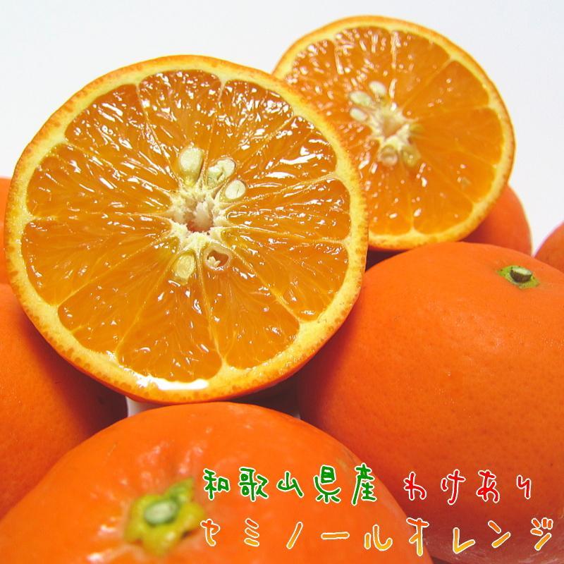 【ふるさと納税】有田育ちの セミノールオレンジ (ご家庭用) 約3kg［先行予約・2027年4月～発送］［MS55］ | フルーツ 果物 くだもの 食品 人気 おすすめ 送料無料