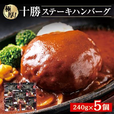 ふるさと納税 帯広市 極厚!十勝ステーキ　ハンバーグ　240g×5個