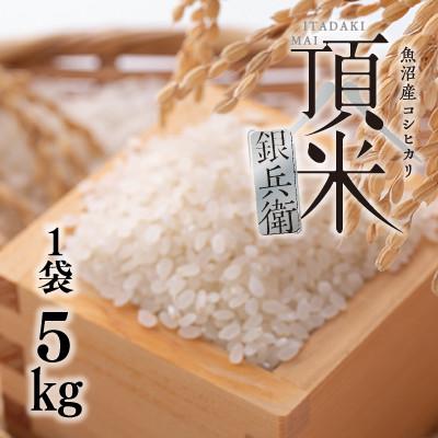 ふるさと納税 十日町市 頂米銀兵衛 魚沼産コシヒカリ(精米)5kg