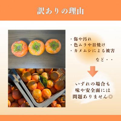 ふるさと納税 瑞穂市 岐阜県瑞穂市産 訳あり富有柿 2.5kg |  | 01