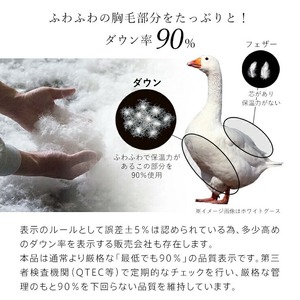 【増量1.4kg】羽毛布団　ハンガリーホワイトダック90％　DP370　セミダブル（無地ナチュラル） _ 【増量タイプ】 羽毛布団 掛け布団 ハンガリー ホワイトダック ダウン 90％ 洗える コイン