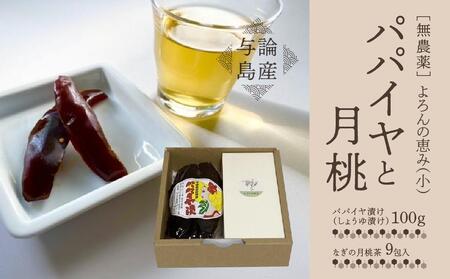 【与論島産】　よろんの恵み（小） パパイヤと月桃|お茶 茶葉 パパイヤ 月桃茶 お茶 パパイヤ漬け ティーバック お茶 ノンカフェイン