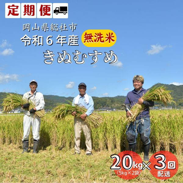 
【定期便】令和6年産＜無洗米＞総社市産きぬむすめ　20kg〔3回配送〕24-105-003
