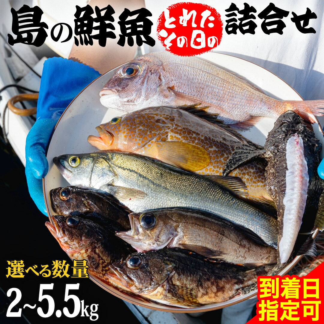 【ふるさと納税】 鮮魚 セット 【 配達地域限定 】 神経締め 血抜き済 内臓・うろこ未処理【 選べる内容量 】瀬戸内海産 産地直送 おまかせ 詰め合わせ 神経締め 血抜き 冷蔵 お刺身 刺身 煮魚 天ぷら 鮮魚 魚 広島県 大崎上島町 詰合せ