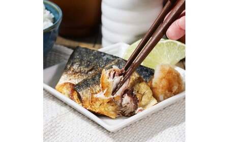～四国一小さなまち～ 焼き塩鯖 5袋 1袋約100g さば サバ 焼魚 焼き魚 レンジ 魚 魚介類 海鮮 国産 簡単 時短 おかず おつまみ 和食 惣菜 食品 お取り寄せ ごはんのお供 お酒のあて