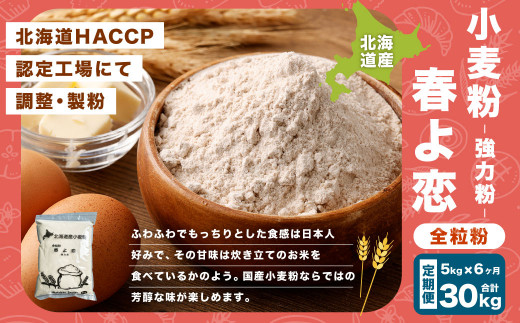 【6ヶ月定期便】北海道産 春よ恋全粒粉【強力粉】 5kg（1kg×5袋）計30kg  国産 小麦粉 強力粉 強力小麦粉