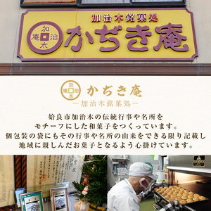 a990 銘菓詰め合わせ・計20個(5種×4個)【菓子処 かぢき庵】 姶良市 姶良カルどら くも合戦 さつまおまき 太鼓踊り たつもんじ坂 和菓子 手づくり お菓子 おやつ お茶請け お茶菓子 スイー