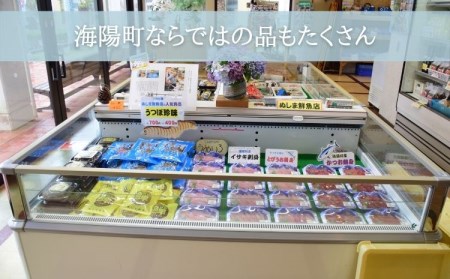 南阿波よりお届け！海の恵み「干物セット」約6～7品 干物 詰め合わせ 約8品 干物セット 父の日 アジ あじ じゃこ ちりめん