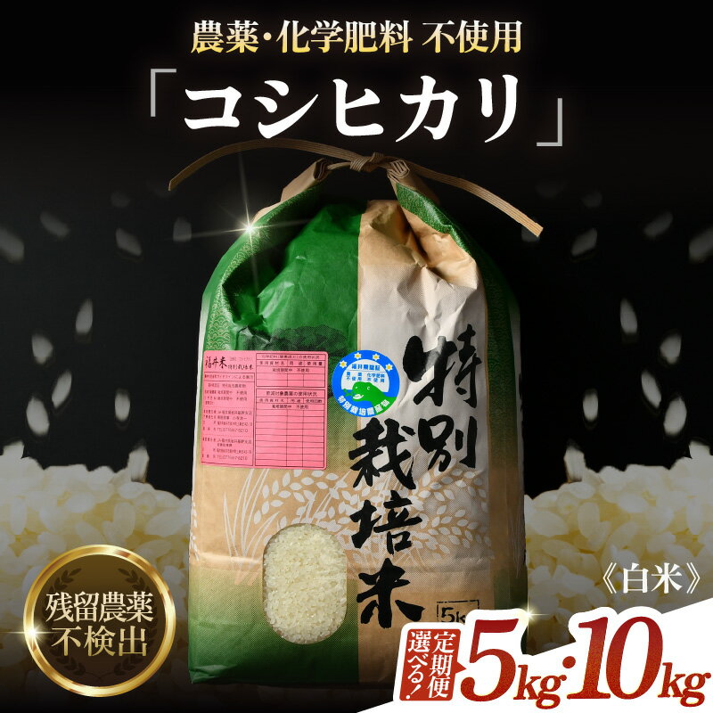 【ふるさと納税】【先行予約】【令和8年産 新米】コシヒカリ 精米 5kg 10kg 定期便 3回 6回 12回 特別栽培米 農薬不使用 化学肥料不使用 ／ 米 お米 5キロ 10キロ 高品質 鮮度抜群 福井県産 ブランド米 白米 ※2026年9月下旬より順次発送予定