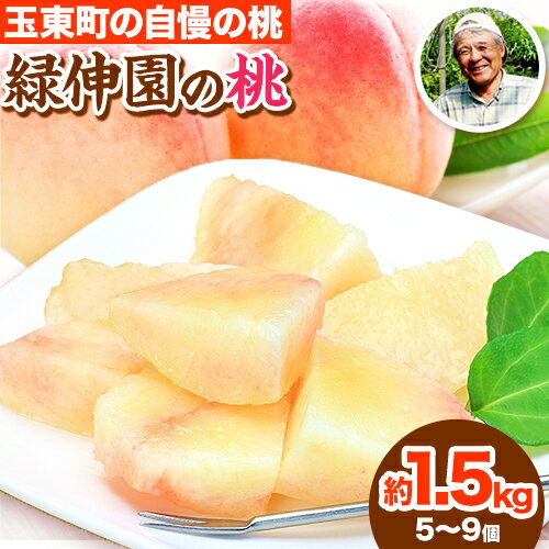 【ふるさと納税】【期間限定】 ジューシーな果汁が溢れ出す『緑伸園』の桃 約1.5kg 5～9個 予約受付中 熊本県 玉名郡 玉東町【日付指定不可】《6月上旬-6月下旬頃出荷》
