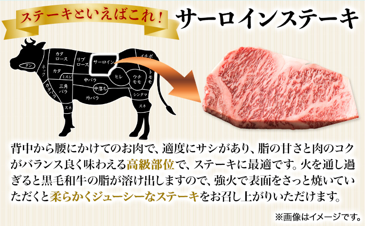 熊野牛 A4 以上 ヒレ シャトーブリアン ステーキ 100g×2枚 霜降り サーロイン ステーキ 180g×2枚 株式会社魚鶴商店《30日以内に出荷予定(土日祝除く)》 和歌山県 日高町 熊野牛 黒