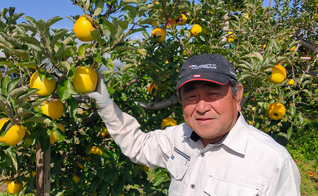 長野市産「シナノスイート」約5kg