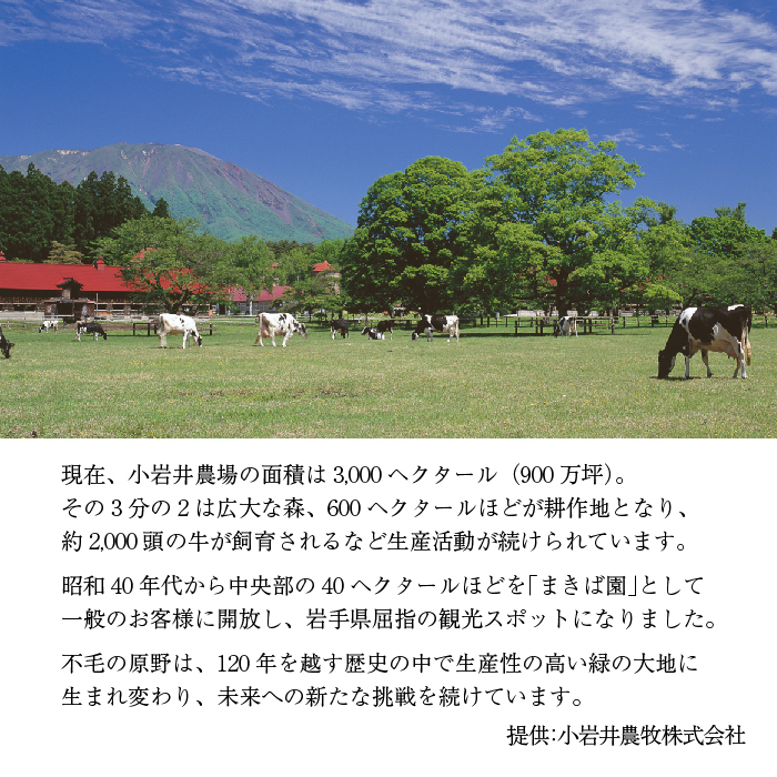 小岩井農場 FARM FROMAGE レアチーズケーキ ／ レア レアチーズ チーズケーキ チーズ ケーキ ホールケーキ ギフト プチギフト 贈答用 贈り物 プレゼント ご褒美 ごほうび お祝い パー