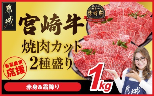
                  畜産農家応援! 宮崎牛焼肉2種1kgセット(霜降り400g 赤身600g)_19-N2-002-1kg-S4A6_(都城市) 1kg 赤身 霜降り 肩ロース又はロース ウデ モモ 焼肉 焼き肉 BBQ 黒毛和牛 宮崎牛 ギャル曽根さんおすすめの牛肉返礼品
                