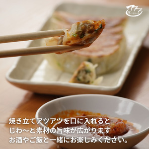 ㉑ぎょーざやさんのえび餃子18個入り（027_5023）※北海道・沖縄・離島への配送不可