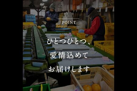 鳥取県南部町産　井田農園の二十世紀梨（3kg箱）8月下旬から随時出荷予定