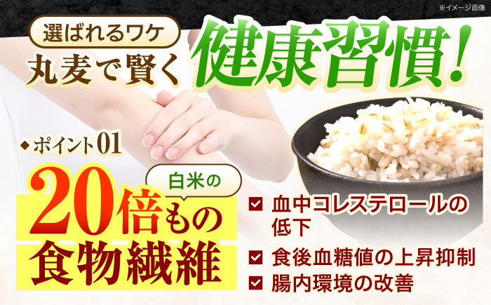 長崎県産 丸麦 10kg / 麦 むぎ 雑穀 雑穀米 麦ごはん 麦飯 麦みそ 食物繊維 長崎県産 米 こめ コメ ※ / 諫早市 / 有限会社伊東精麦 [AHBU005]