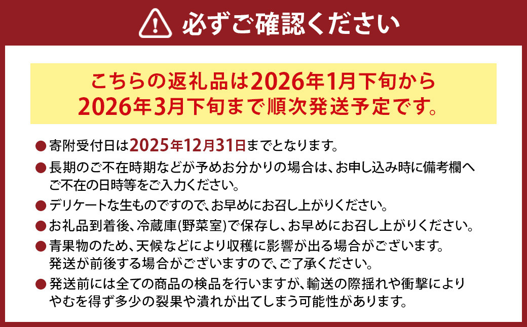にべさんちの苺 熊本県産イチゴ空音(そらね)極み