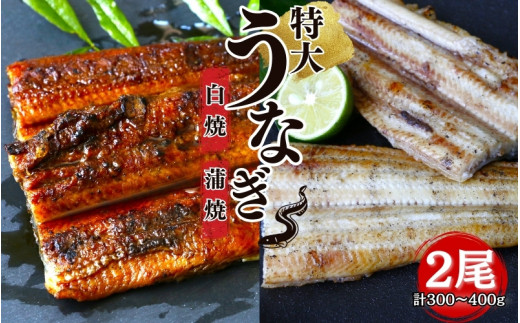 特大うなぎ蒲焼き うなぎ白焼き 各1本セット / うなぎ 鰻 白焼き うな丼 うな重  国産 鰻丼 かば焼き 和歌山 田辺【kpy006-1】