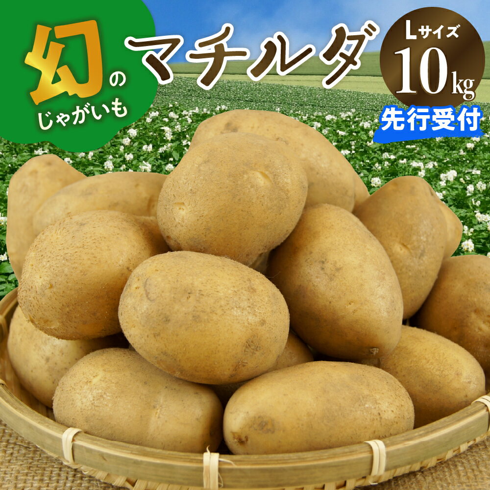 【ふるさと納税】【先行受付】【2026年4月出荷分】 十勝めむろ産 越冬 マチルダ Lサイズ 10kg 先行予約北海道産 国産 冷蔵 じゃがいも ジャガイモ 芋 いも イモ ポテト 10キロ L 野菜 肉じゃが ポテトサラダ カレー BBQ お取り寄せ 北海道 芽室町