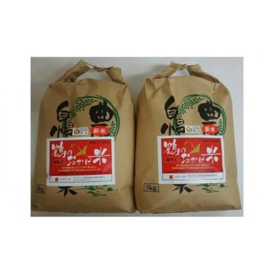 ふるさと納税 南伊勢町 ブランド米 こしひかり 10kg 鶴のおかげ米 鶴路米 南伊勢町認定 伊勢志摩産 美味しい精米済の米 |  | 01