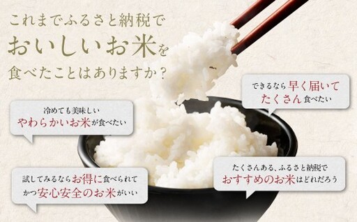 阿蘇のお米 12kg (6kg×2袋) 【2026年7月発送】 精米 お米 米 おすすめ 人気 ランキング